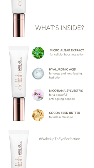 Delilah Wake Up - Eye Perfector ingredients
