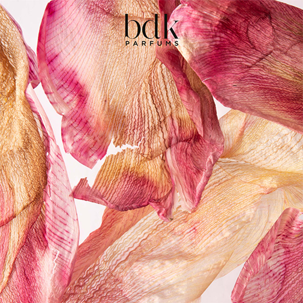 Eau de Parfum - Tabac Rose | BDK Parfums