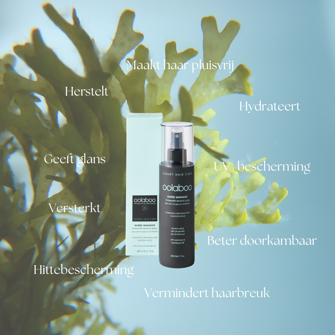 Oolaboo Moisty Seaweed 24 Benefits Leave-In Spray fordele mellem tang