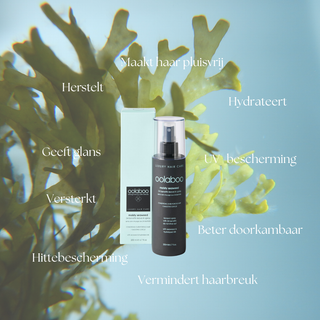 Oolaboo Moisty Seaweed 24 Benefits Leave-In Spray fordele mellem tang