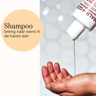 Peppermint Shampoo brug