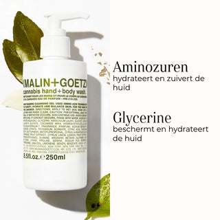 Cannabis Hand+Body Wash ingredienser