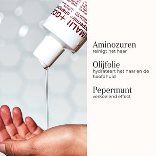 Peppermint Shampoo ingredienser