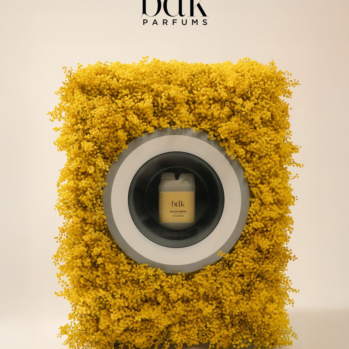BDK Parfums Eau De Lessive Mimosa i vaskemaskine af mimosablomster