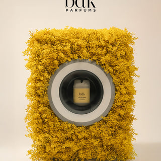 BDK Parfums Eau De Lessive Mimosa i vaskemaskine af mimosablomster