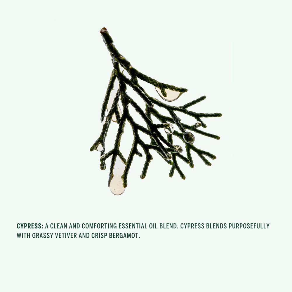 Corpus Naturals Cypress 266ml geurnoot cipres