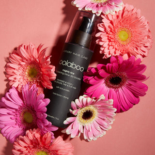 Oolaboo Mighty Rice Blow Dry Booster mellem lyserøde gerberaer