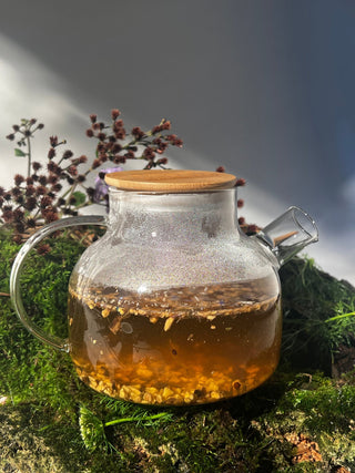 Oolaboo Nature As Essence Inner Glow Organic Tea thee in glazen theepot op mos